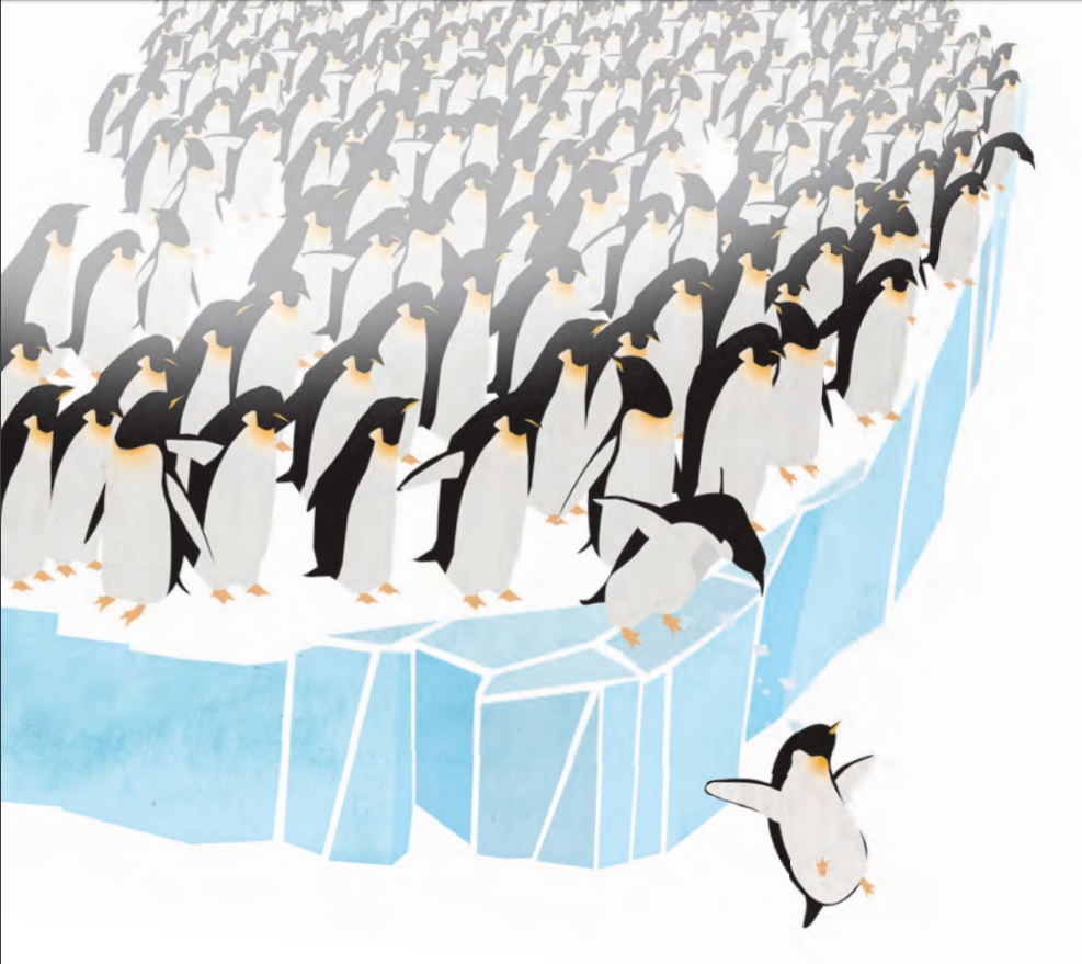 first penguin.jpg